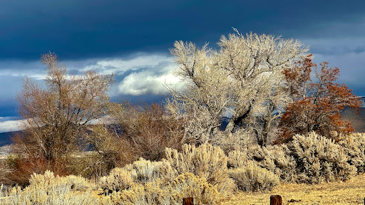 Little Washoe Lake Park Gallery - United States