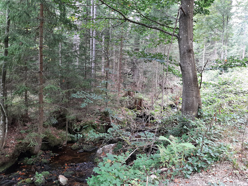 Mühlbach - Visual