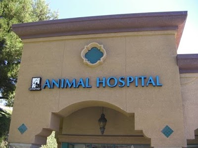 veterinary-care