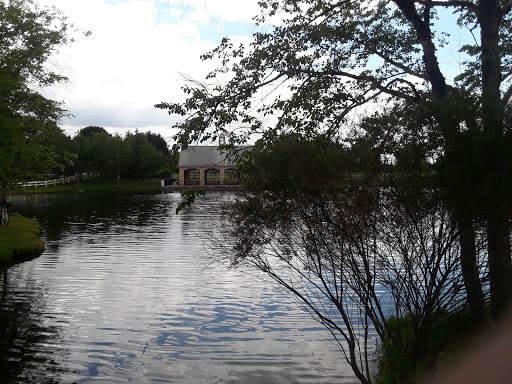 Homestead Metro Park Covered Bridge - Thumbnail
