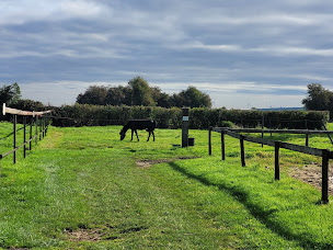 Photo n°4 de LES ECURIES DES HAUTS PAYS à Tangry (Centre équestre)
