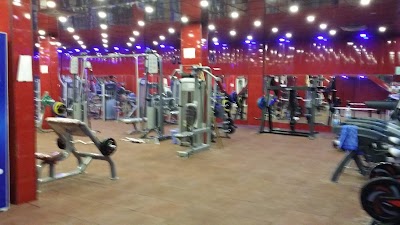 Photos of Mr OLYMPIA