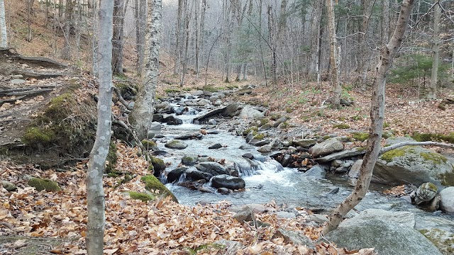 Parc d'environnement naturel de Sutton