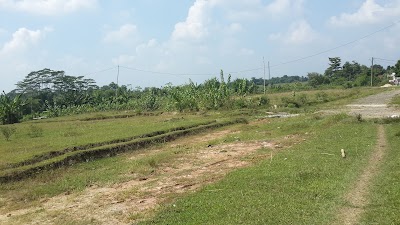 Photos of Kamkam Camp