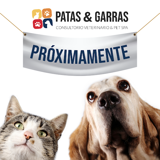Veterinaria y Pet Spa Patas y Garras - Thumbnail