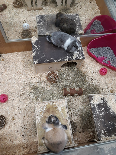 Pets at Home Wokingham - Thumbnail