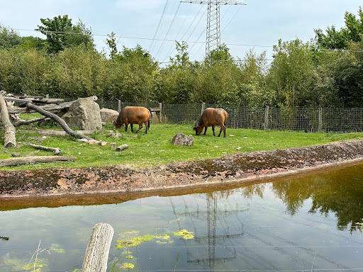 Spielplatz im Zoo Osnabrück Gallery - Germany