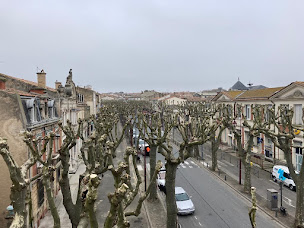 Photo n°7 de SEYVE à Saint-Juéry (Service d'élagage)