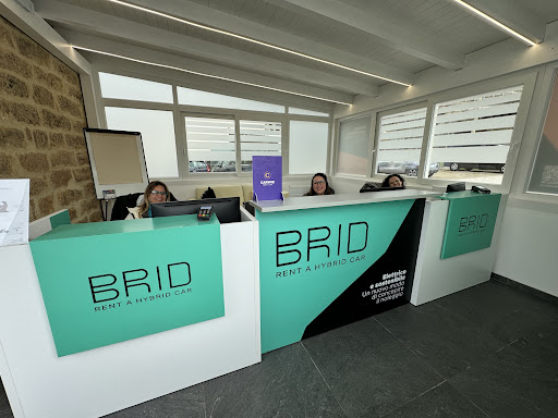 Brid Rent - Visual