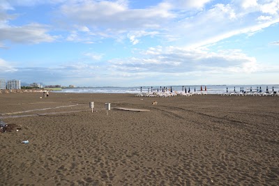 Photos of Port of Sh&euml;ngjin