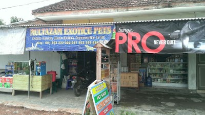Photos of Multazam Exotice Pets