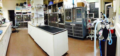 Photos of VCA Paradise Valley Emergency Animal Hospital