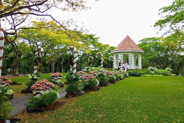 Botanic Gardens