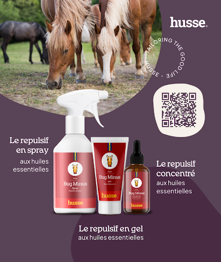 HUSSE - Caen - Calvados - Thumbnail