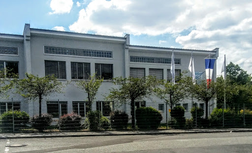 Weibelfeldschule - Visual
