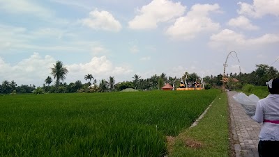 photo of Pura Suranadi