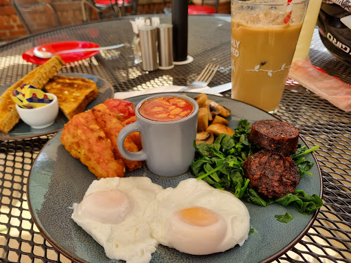 Turtle Bean Cafe - Visual