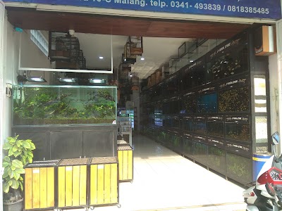 Photos of AquaZone Aquarium & Pet Shop