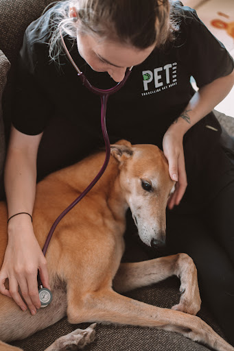 Petguard Travelling Vet Nurse - Thumbnail