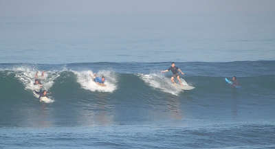 Photos of Surf Well Bali