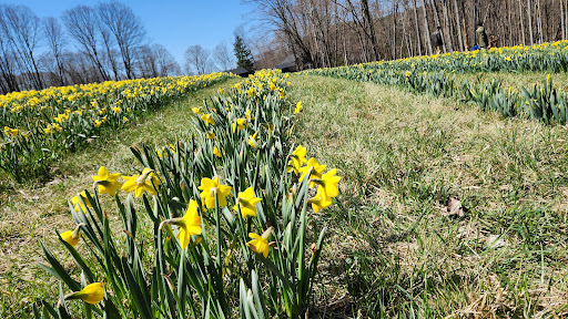 Halfinger Farms - Thumbnail