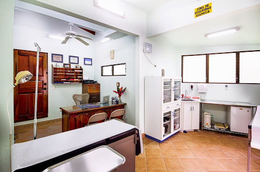 DRA KATTIA PORRAS, MD