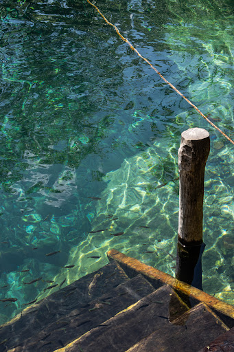 Cenote Adventures Tulum