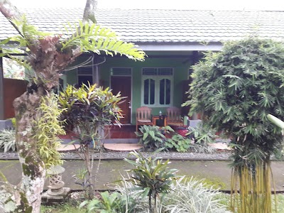 Photos of Green Orry Inn