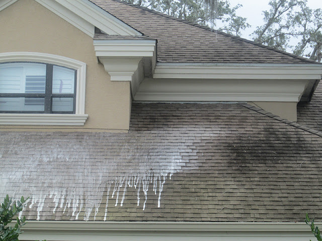 View of SoftWash Central, LLC located in  - Best Pressure Washing Service near me.