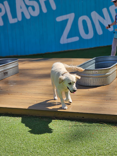 Fetch Park Alpharetta - Thumbnail