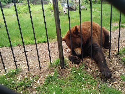 Photos of Popcorn Park Zoo