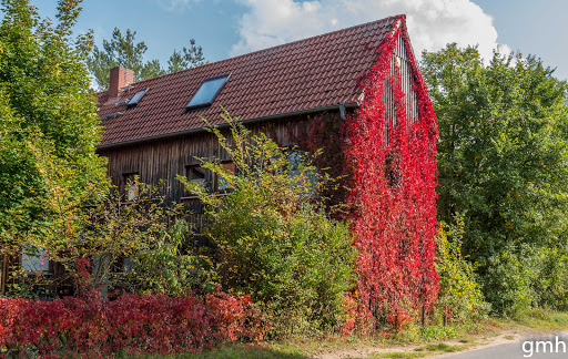 NaturFreundehaus Moorhaus - Thumbnail