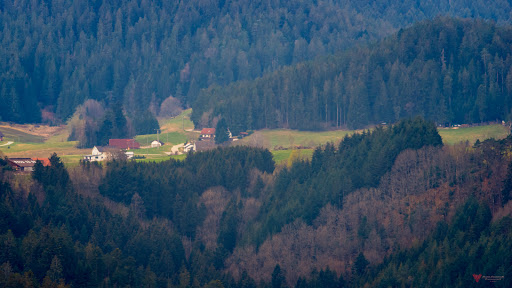 Haus Diesenhof