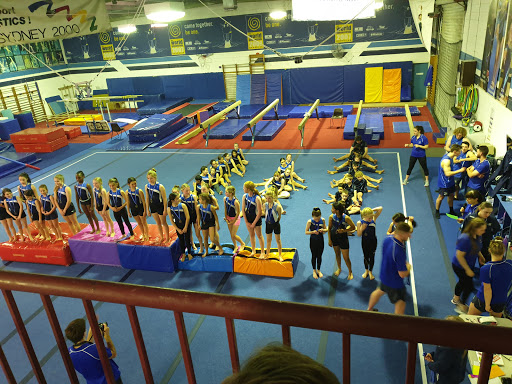 PIT Gymnastics - Thumbnail