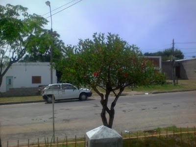 Photos of Escuela N&ordm; 3