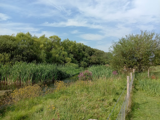 National Trust Car Park - The Lion's Den - Thumbnail