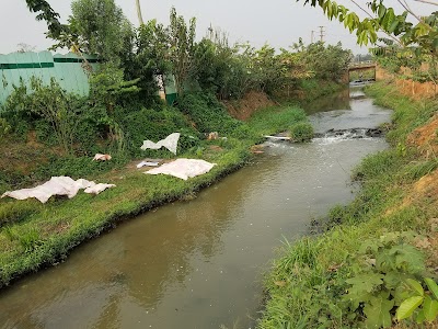 Photos of Eco Park