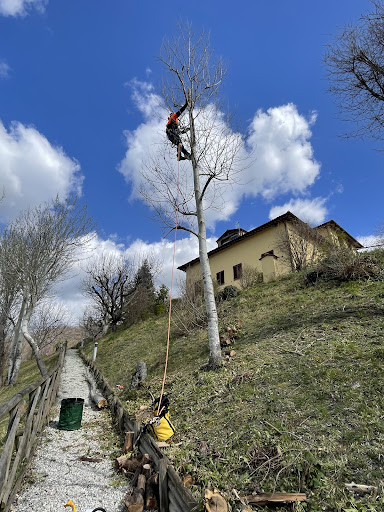 Matteo Bertolini Giardiniere - Thumbnail