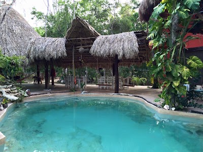 Photos of Casa Selva Orquideas