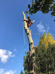 Photo n°5 de Jardins et Dépendances à Châtelaillon-Plage ()