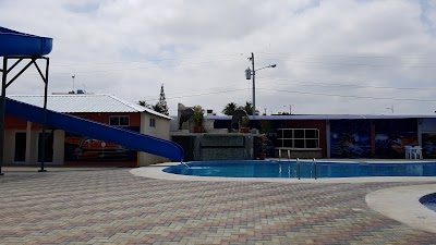 Photos of Hoster&iacute;a Dolphin