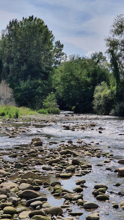 Riserva Naturale Confluenza Gesso - Stura