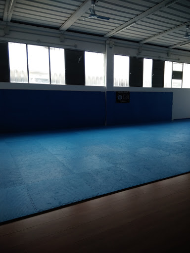 Palestra Dynamic Center - Thumbnail