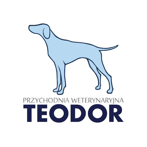 Godziny otwarcia Przychodnia Weterynaryjna "Teodor"