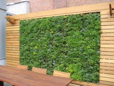 Photos of Jardines Verticales