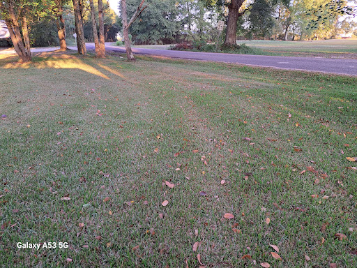Royal Oaks RV sites