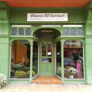 Floristería El Carrizal - Cistierna, León
