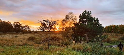 Peene Torfkuhlen - Thumbnail