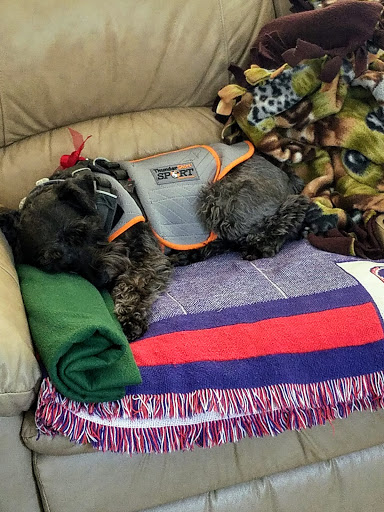 Lancaster Veterinary Hospital - Thumbnail