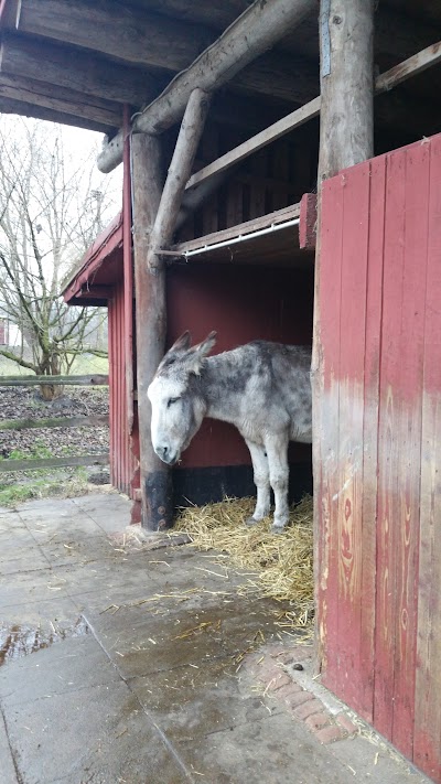 Photos of Ringstedtenhof